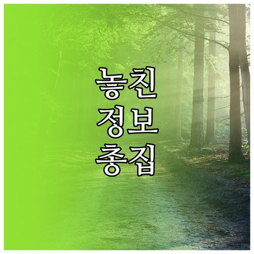 LG 스마트TV 유튜브 키즈 설치 두 가지 이용 방법