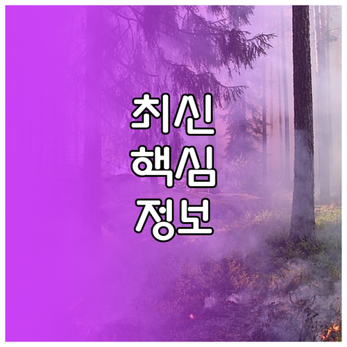 깨끗한 공기 비결 공기청정기 필터 관리법