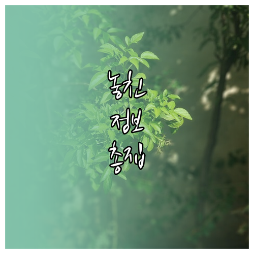성공적인 다이어트 단백질 섭취 전략 완벽 정리