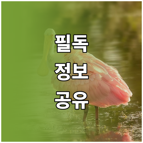 혼인관계증명서 발급 대법원 정부24 온라인 절차 완벽 공개