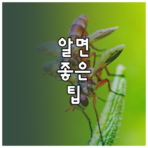 S펜 필기 삼성 노트 PDF 저장, 원본 그대로 보관