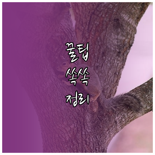 네이버 오피스 공동 작업 성공, 공유와 권한 설정 전략