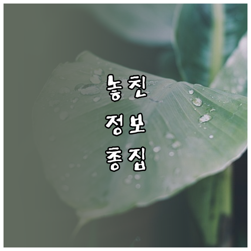 운전면허 1종 적성검사 온라인 신청 시간 절약법