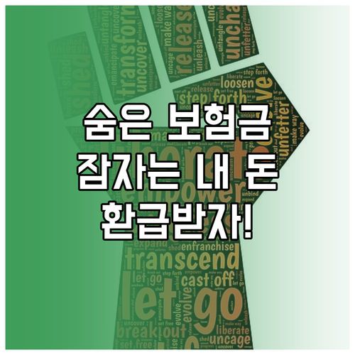 잠자는 내 돈, 숨은 보험금 찾기: 조회부터 환급까지