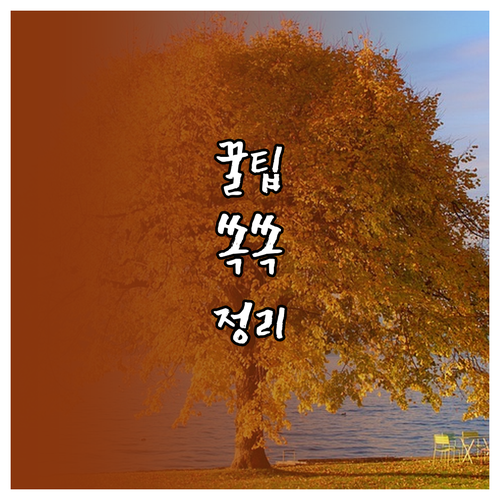 5월 연금소득세 폭탄? 홈택스로 환급받는 비법 공개