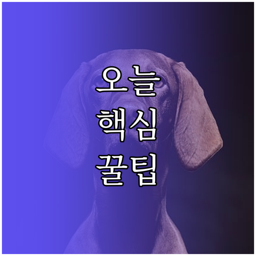 노션 할 일 관리: 평범함을 넘어선 생산성 혁명