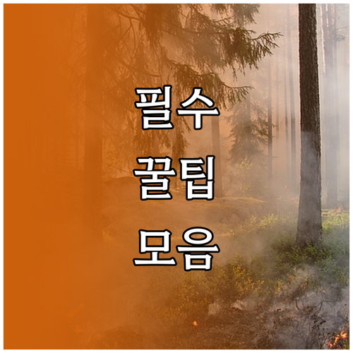블로그 영상 형식 용량 길이! 업로드 전 필수 점검