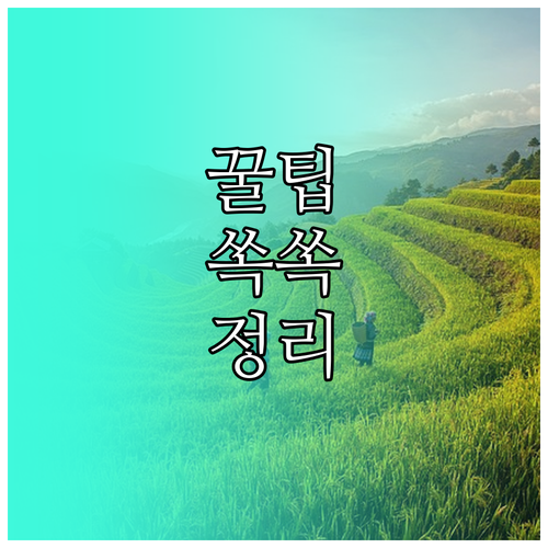경찰청 이파인 교통 범칙금 과태료 조회 납부 방법