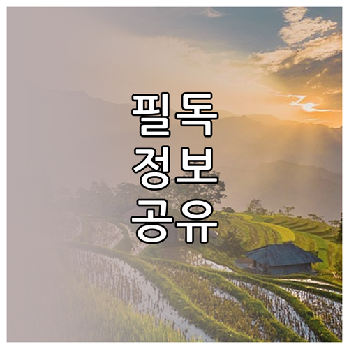 피부양자 자격, 이렇게 확인하세요: 소득 재산 기준