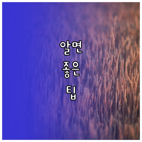 매일 꾸준히! 아이 영어 단어 습관 잡고 학습 의욕 높이는 팁