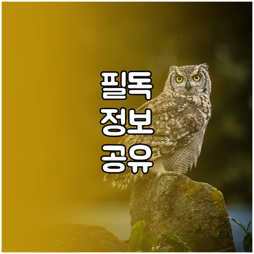 당신은 웹툰 고수? 쿠키 충전 사용 내역 완벽 분석