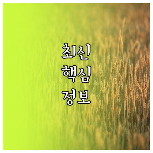 엔진오일 제때 안 바꾸면 생기는 끔찍한 문제 5가지