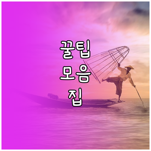네이버페이 포인트 현금 전환 이것만 알면 끝