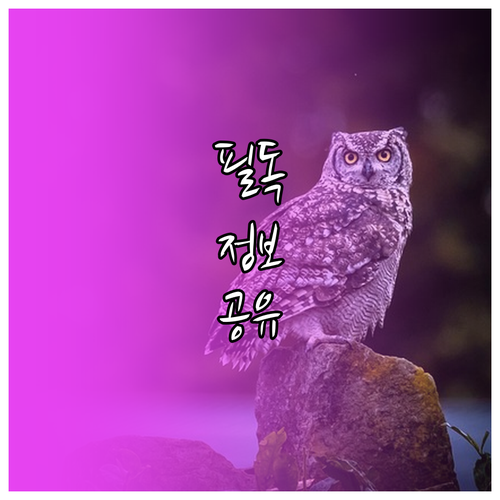 전기차 충전, 이제 기다리지 말고 예약으로 해결하세요