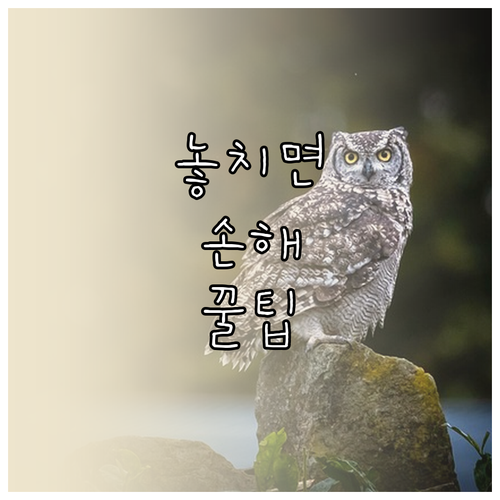 세대주 확인부터 과태료까지! 온라인 전입신고 주의사항