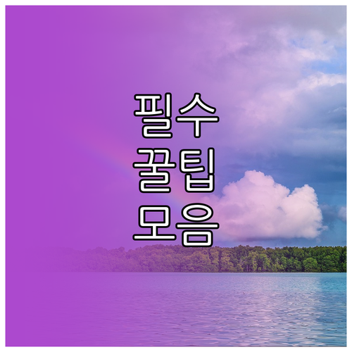 해외 송금 수수료 아깝다면? KB스타뱅킹 활용법