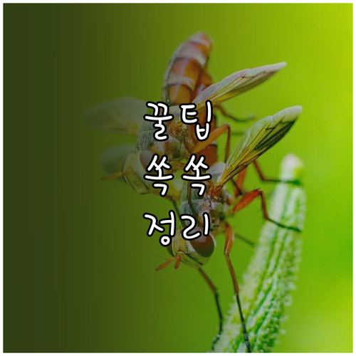 한글 표 활용의 모든 것 쉬운 생성부터 고급 계산까지 완전 분석