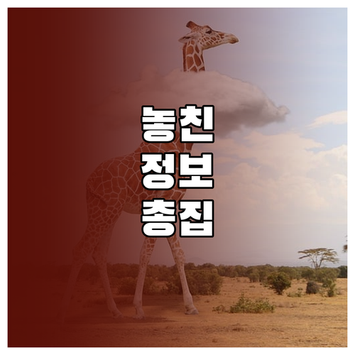 줌 녹화 오류 이제 그만! 파일 변환 해결책은