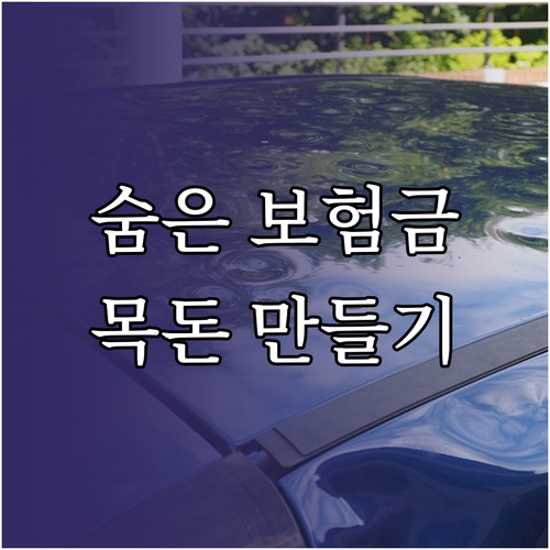 뜻밖의 횡재? 숨은 보험금 찾아서 목돈 만드는 비법 공개