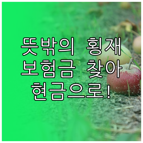 뜻밖의 횡재? 숨은 보험금 조회하고 현금으로!