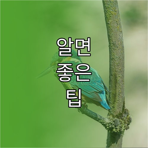 구글 홈 스마트 전구 연결 초간단 설정법