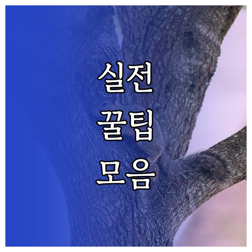 여권 사진 이것 때문에 반려? 재촬영 피하는 법