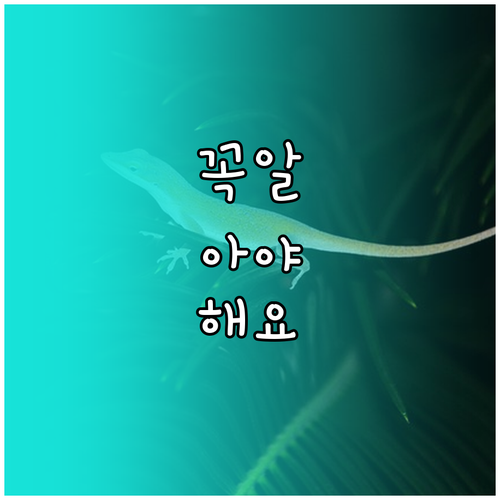 카카오웹툰 알림 설정부터 관리까지 궁금증 모두 해결