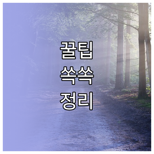 알렉사 플러그 하나로 똑똑한 집 만드는 비법 지금 확인