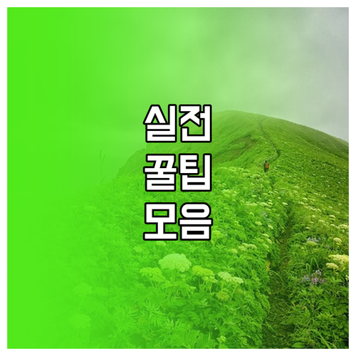 제조사별 내비 업데이트 방법과 주의사항 완벽 정리
