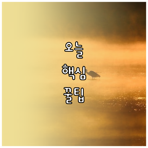 가족 몰래 숨겨둔 보험금, '내보험 찾아줌'으로 한번에 조회