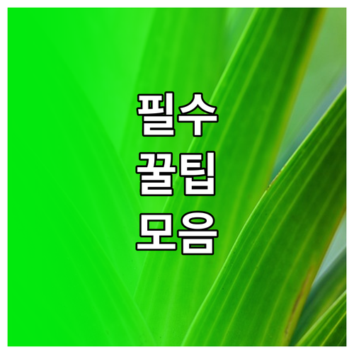 엑셀 조건부 서식 복잡한 표를 의미있는 정보로 바꾸는 법