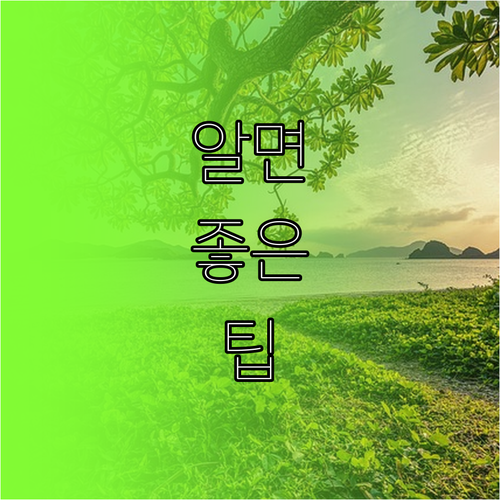 내 건강을 위한 현명한 선택, 검진 예약 바꾸는 팁
