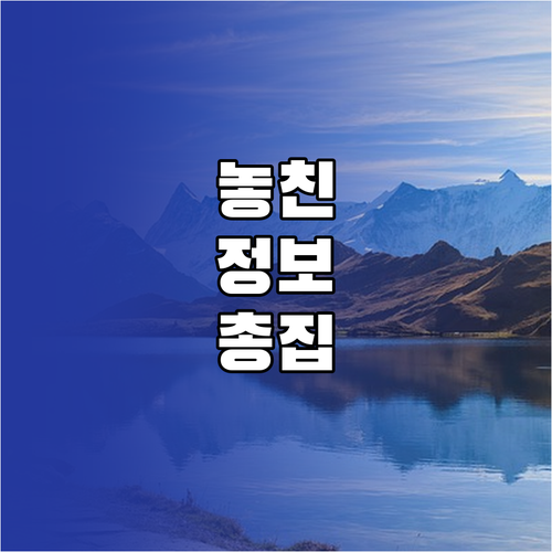 밀리의 서재 구독 해지 후 환불과 무료 이용 주의사항
