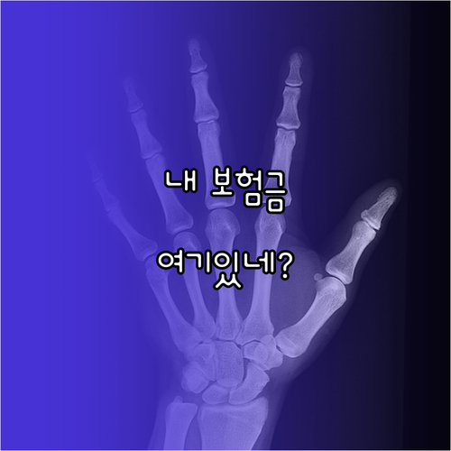 내 보험금 어디에? 숨은 보험금 찾기 A to Z