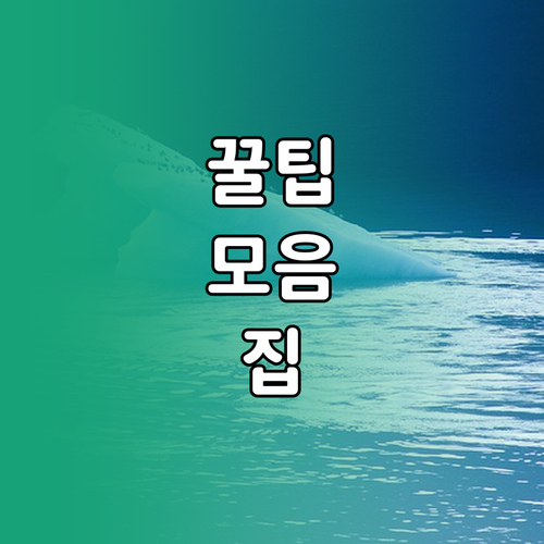 원노트 숨겨진 이미지 기능 100% 활용 전략