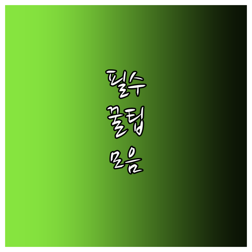 시외버스 앱 활용 예매부터 모바일 탑승 초간편 비결