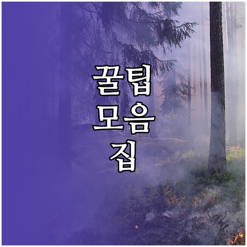 TPMS 경고등? 타이어 공기압 문제 해결 단계별 설명