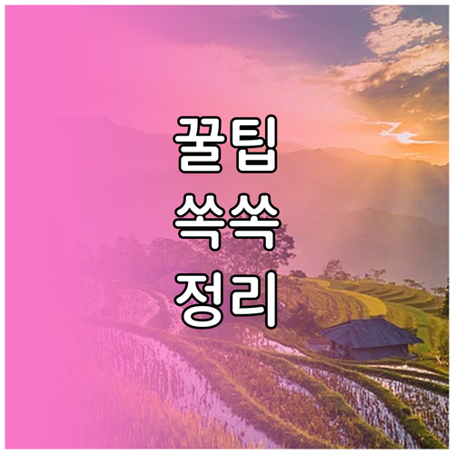 느린 스마트폰? 3가지 관리 습관으로 항상 빠르게 사용!