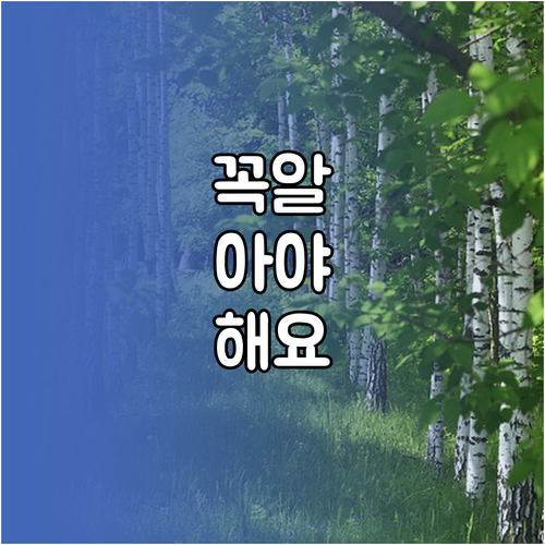 GIF 속도 조절 마스터! 무료툴로 만드는 완벽한 콘텐츠