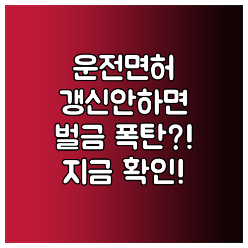 1종·2종 운전면허 갱신, 놓치면 벌금부터 재시험까지