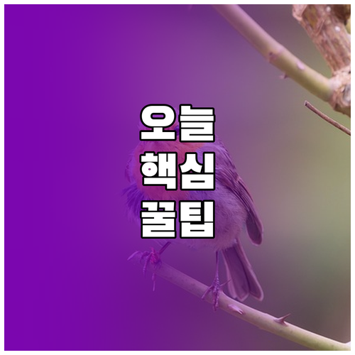 아이패드 엄지 타이핑 분할 키보드 설정 A부터 Z