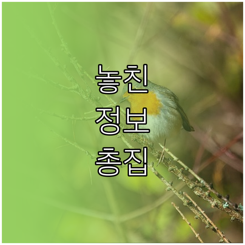신용카드 연회비 환급, 놓치면 손해입니다