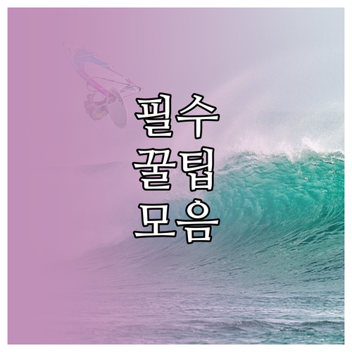 ESTA 21달러 인상! 잘못된 사이트 피하고 안전하게 신청하는 법