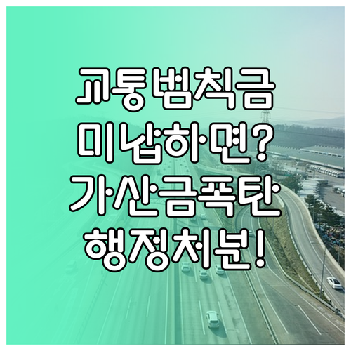 연체된 교통 범칙금·과태료 납부, 가산금과 행정처분