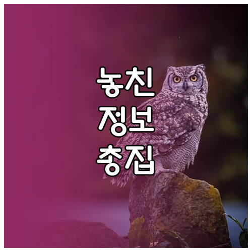 복잡한 보험 이것만 물어보세요 현명한 가입 전략