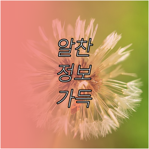 복잡한 보험 특약, 이제는 쉽게 이해하고 활용하세요