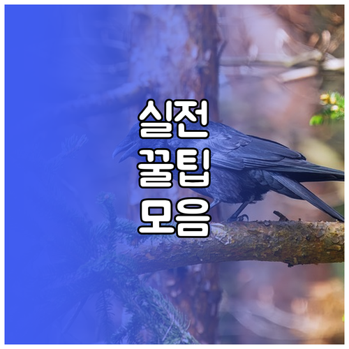 파워포인트 슬라이드쇼 자동 실행 PPSX 파일 저장법
