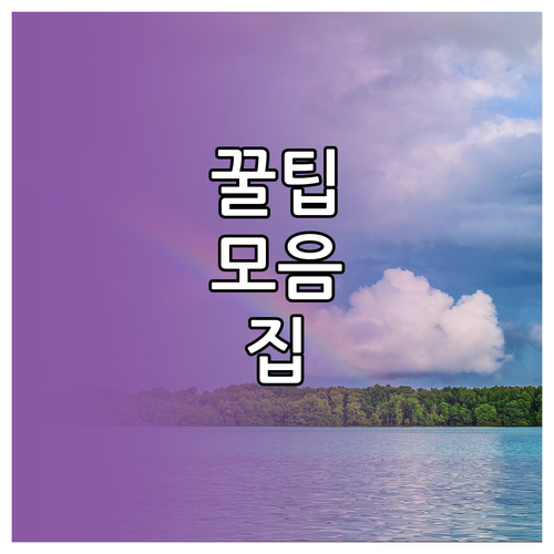상생페이백 카드 분실 재발급 잔액 이전과 수수료 확인
