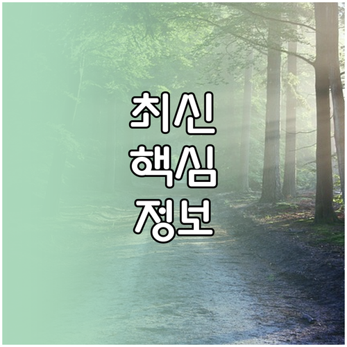 지역 경제 살리는 상생페이백 15일 지급과 사용처