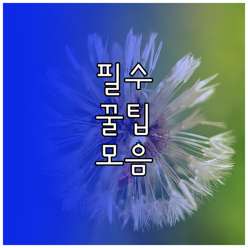 클릭 부르는 영상 배경음악! 저작권 걱정 없이 찾는 3가지